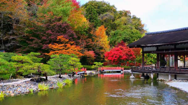 岩手縣藤原之鄉2930099