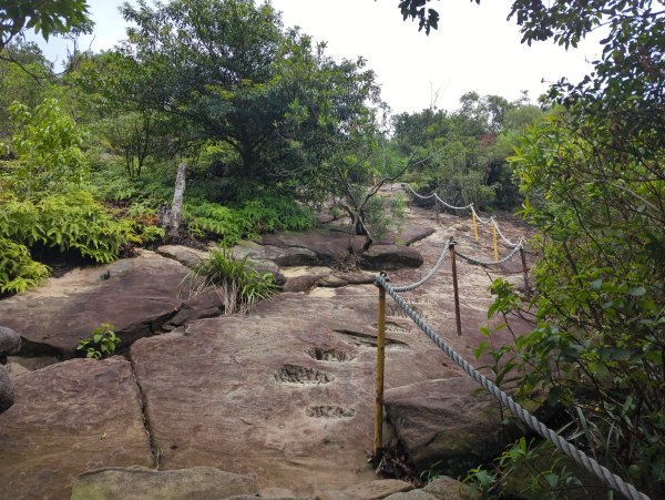 2025.09.07－金面山2880203