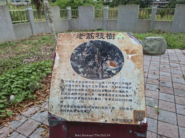《南投》河岸賞鳥｜竹山下坪生態步道O繞202610173136776