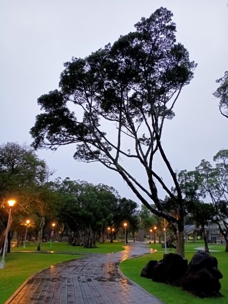 禽鳥天堂的大湖公園、施工封閉的大港墘公園【走路趣尋寶】1926018