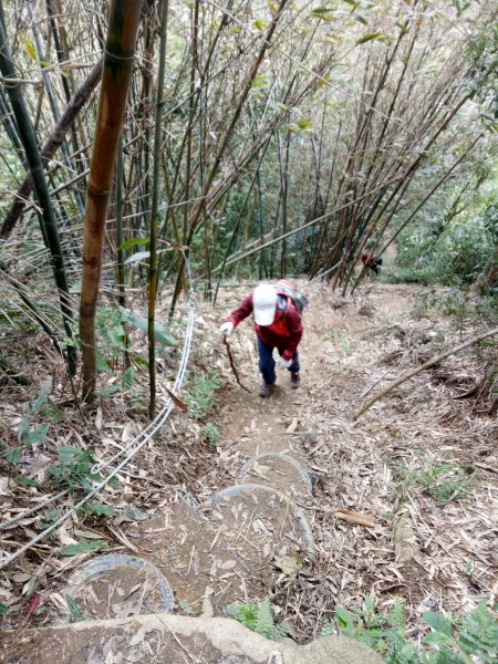 三峽鳶山+鳶山彩壁+五十分山(茅埔路起登)1876735