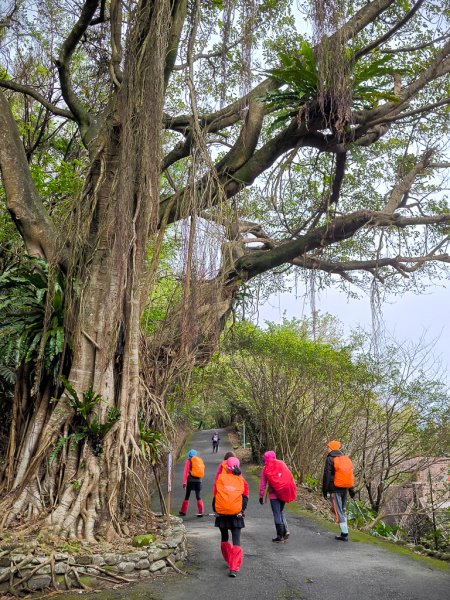 2025-01-19 大里天公廟~埡口2695373