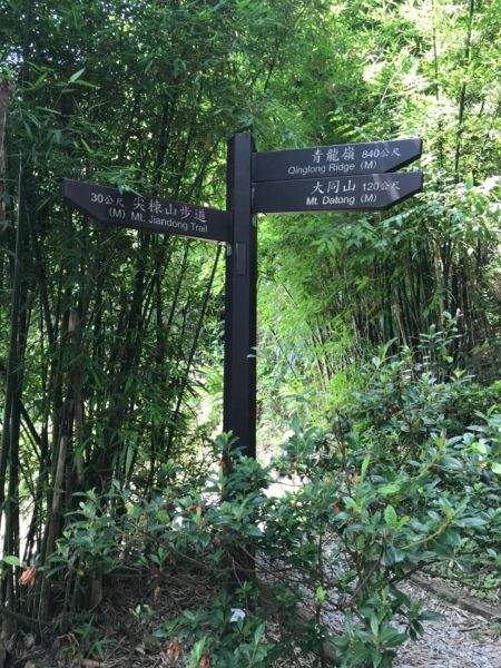 大同山-青龍嶺-大棟山333038