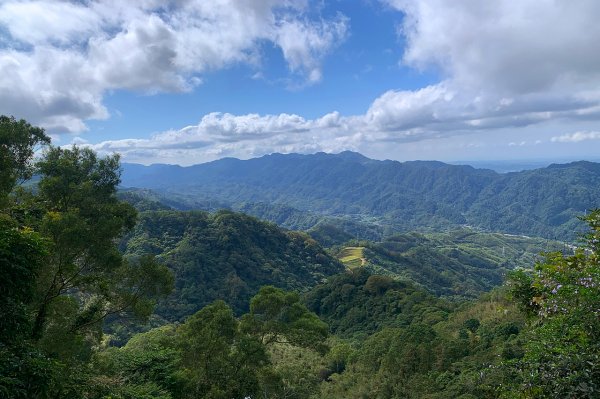 苗栗獅潭｜仙山登山步道｜穿過杉木小徑．遠眺綿延山峰1574403