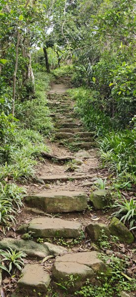 2026-0307 造鎮-文筆山-天華山-南勢角山-蘭花亭-牛伯伯3015885