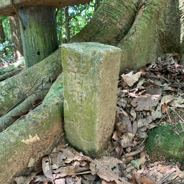 20250913苗栗三湖山2890821