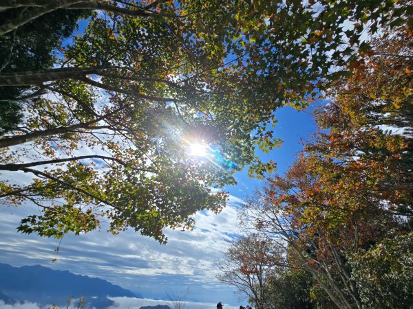 馬那邦山之雲海／雲瀑／楓紅／太陽琉璃光2668297