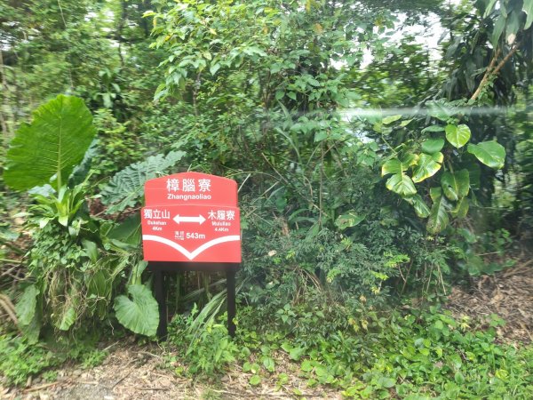 阿里山森林小火車2865032