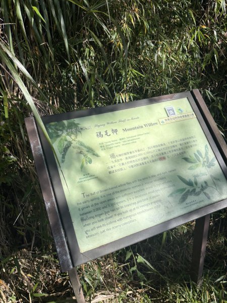 20251225塔山步道(大塔山)2970400