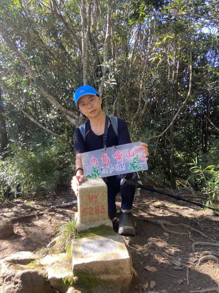 114.11.16 北得拉曼追黃金山毛櫸2937923