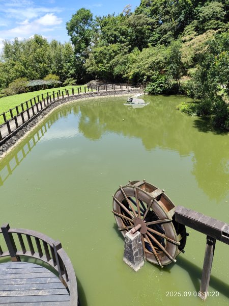【臺北大縱走 7】2-1 樟山寺→樟樹步道→彩雲亭→相思炭窯→貓纜貓空站→指南路三段40巷2881801