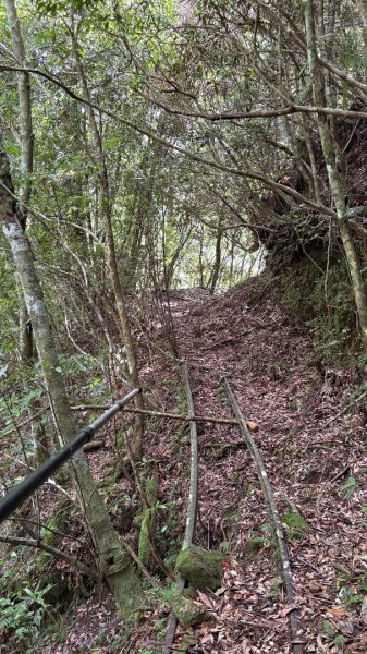 林鐵遺跡2878202