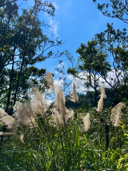 二格山走南邦寮山經草湳福德宮回二格公園3005498