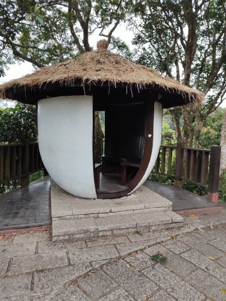 臺北大縱走第七段&第八段3019190