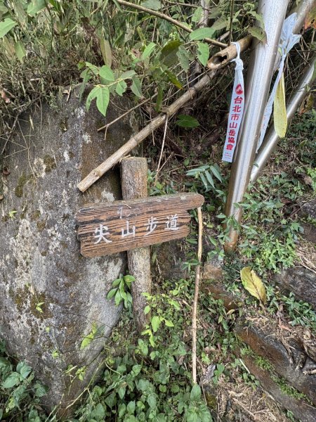 20251122大湖尖山步道(啟登直上第三涼亭)2944522