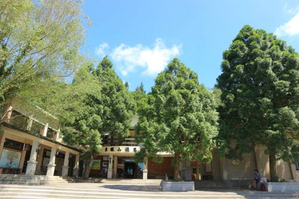 小百岳NO.22東眼山，因山形似躺著的少女  大眼睛向東而望之 絕美柳杉雲海 東眼山2297024