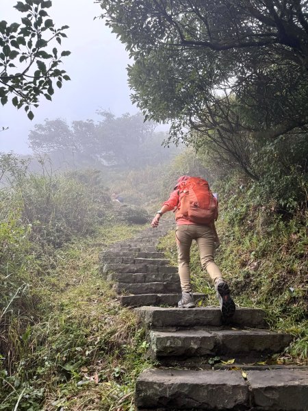 七星山 冷水坑上小油坑下環七星山人車分道O繞 202511082934889