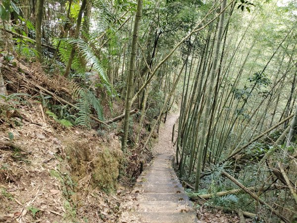 步道巡訪員 l 四大天王山步道第12巡～1212378