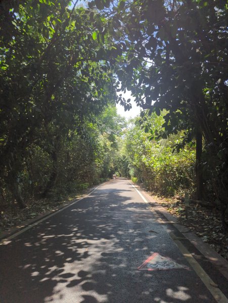 2025.07.26－霄裡好風光：觀音~新屋自行車道2847847