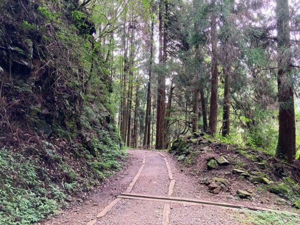 特富野古道2625597