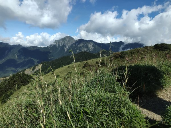 1140812合歡東峰3098159
