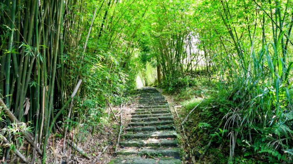 溪和宮,大尖山,擎天崗2822941