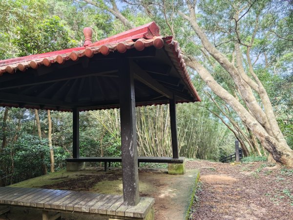 [皮皮獅動物派對-03/10] 2026_0822 石光古道(老虎山步道)3120806