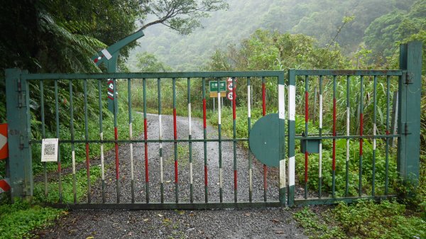 古魯林道登山健行趣(步道)1657614