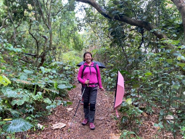 田中森林公園步道、赤水崎公園步道、花牆、龍過脈古蹟2750905