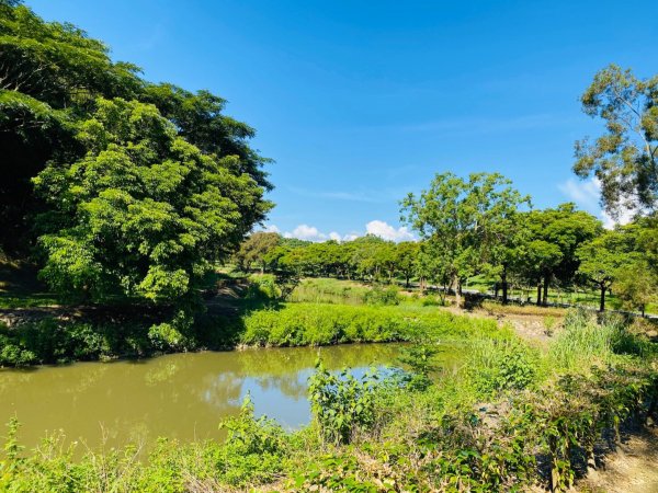 1090719臺南鎮南宮後山步道1036873