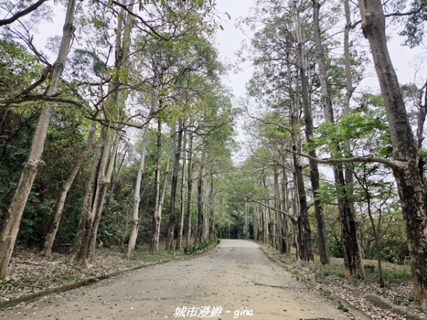 【台中太平】小百岳三汀山3027095