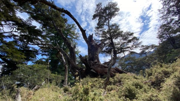 楠梓仙溪上南玉山1373096