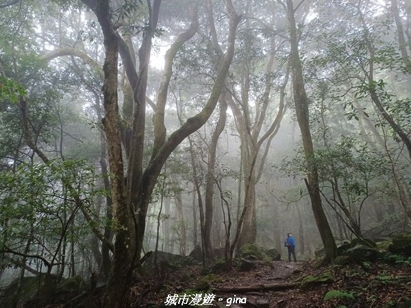 【苗栗南庄】裊裊雲霧台版富士山。 小百岳集起來。編號 34小百岳~加里山。 【台灣小百岳】 我玩登了1902990