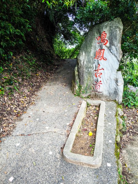 2026-05-02 鳴鳳古道步道群3049323