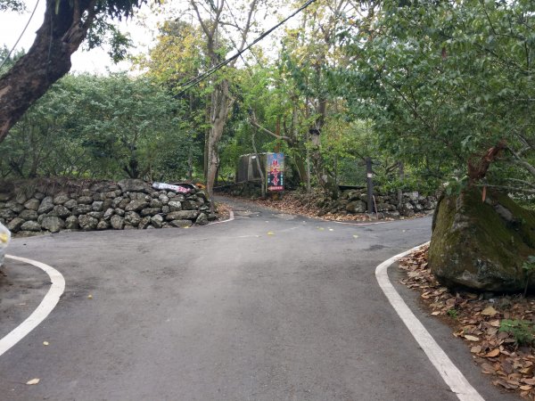 竹子尖山(小百岳#67)：梅龍步道、山稜線步道、觀音步道、階梯步道1377525