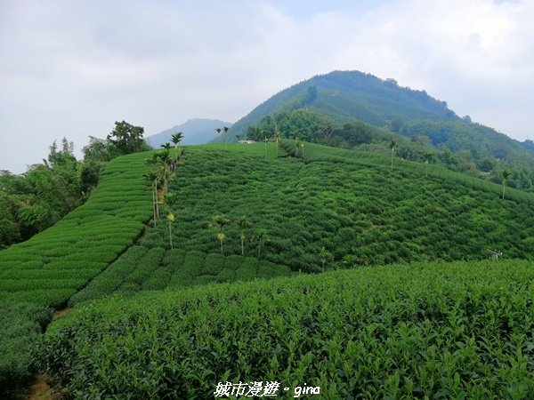 【雲嘉】超美的茶園竹林風光。小百岳集起來。#56小百岳雲嘉大尖山x二尖山x馬鞍山x#57小百岳梨子腳1453700