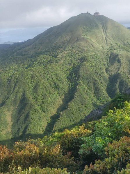 瑞芳半平山大峭壁鋸齒稜劍龍稜O型1675843