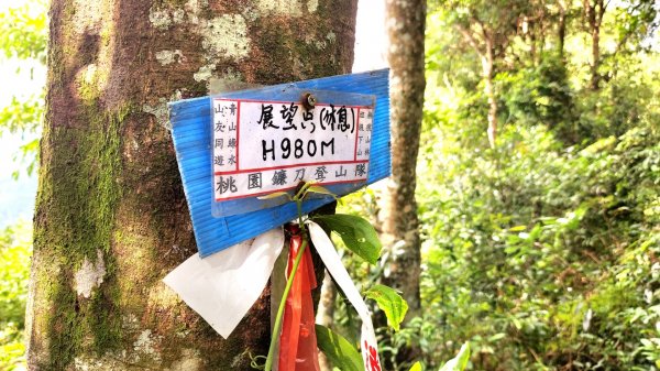 三峽五寮尖山，桃園金平山，三民蝙蝠洞，觀音洞步道，基國派教堂，八德埤塘生態公園，中庄吊橋1798249