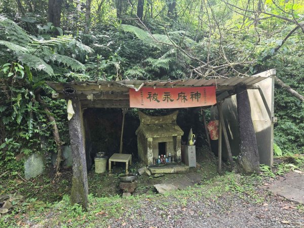20260623中坑古道-仿山坑古道-火燒寮古道徹退3079464