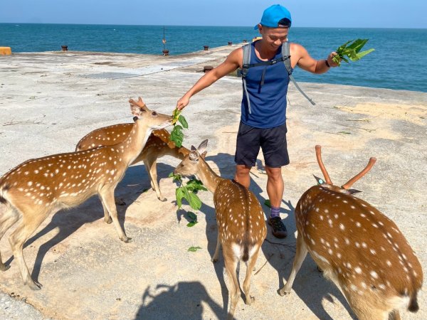 大坵島.螺山步道.芹壁步道.壁山【簡直比出國還精采的馬祖北竿島】2879723