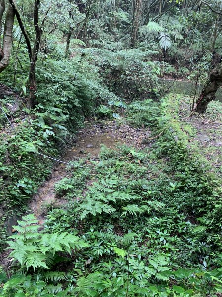 孝子山、慈母峰及普陀山860494