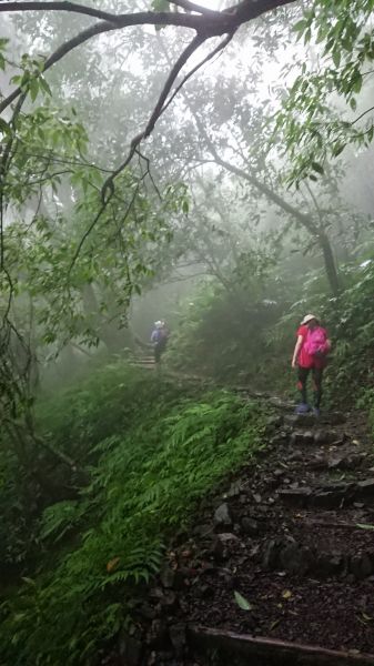 聖母登山步道410501