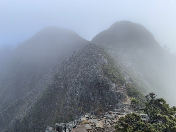 一日小O聖 2024 11/222865491