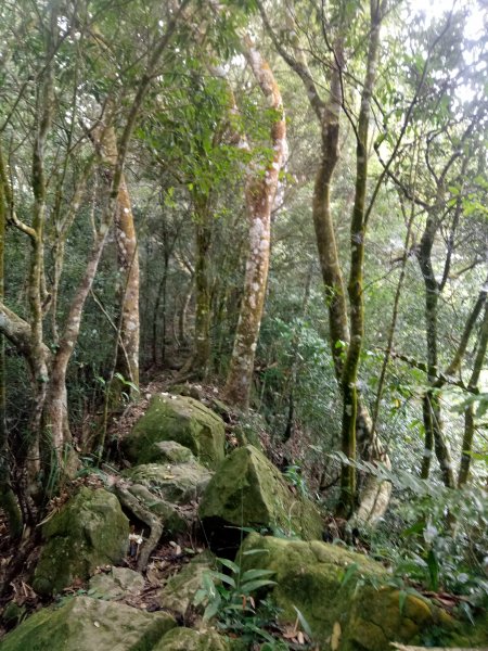 小百岳九份二山1884010