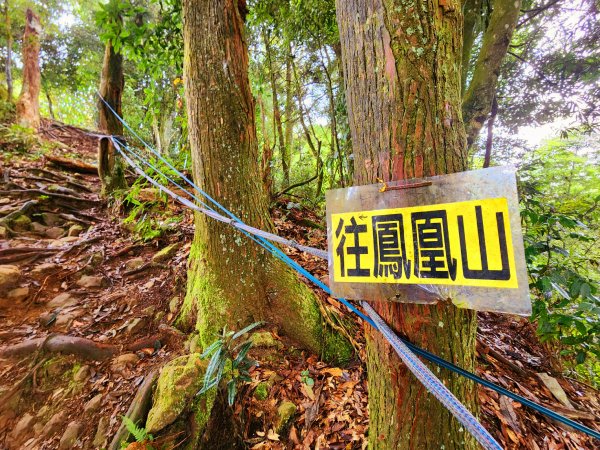 小百岳集起來-鳳凰山2183158