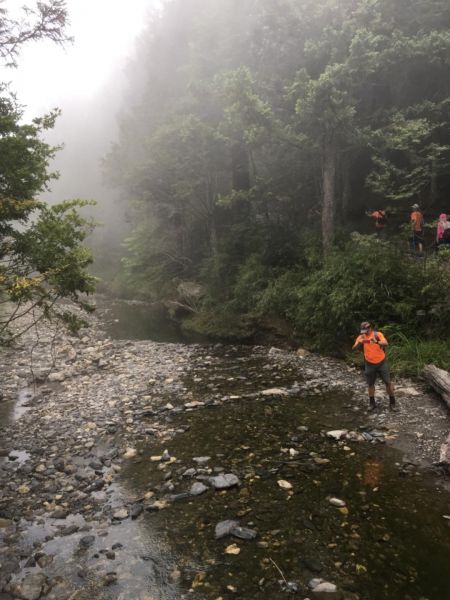 避暑- 觀霧榛山步道之旅385094