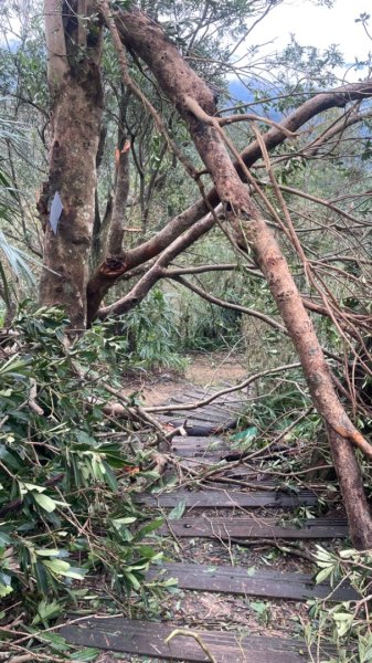 災後紅河谷越嶺小獅山仙跡岩觀音山路況2641456