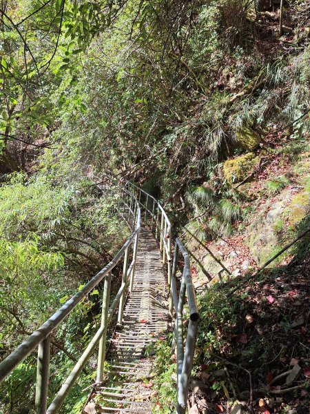 石山引水道202512112959576