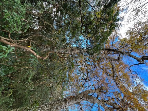 20221112_北得拉曼山2762250