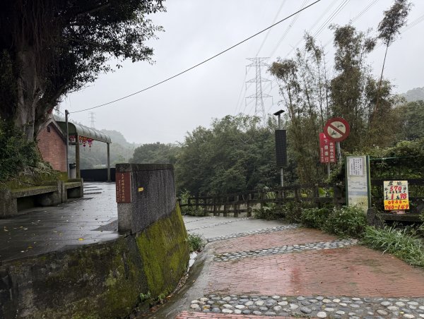 [樟之細路_第一大段RSA01] 2026_0329 清水坑溪景觀3026591